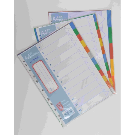 LION A4 PLAST DIVIDER CLR 20 TAB